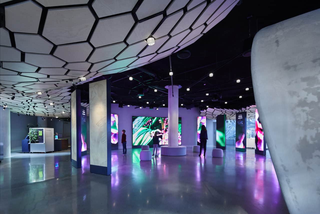 Futuristic interior: hexagonal ceiling, digital screens with abstract art, polished floors, and people engaging with modern exhibits.